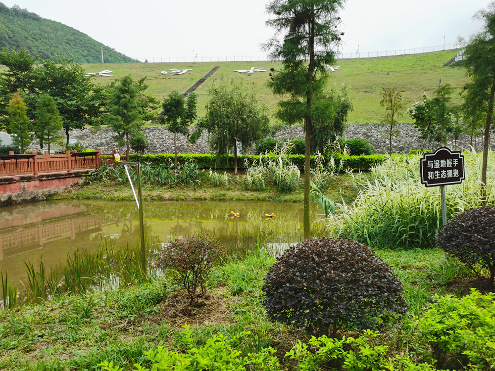 廣東金銀河水庫國家濕地公園生態(tài)修復工程項目